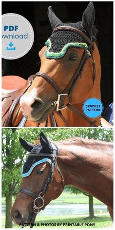 a horse with a bridle on it's head is shown in two different photos