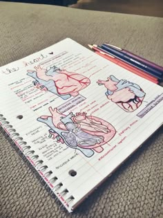 a notebook with an image of the human body on it and a pen resting on top