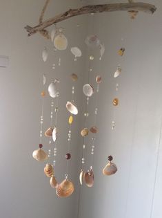 a wind chime with seashells hanging from it's sides in a room