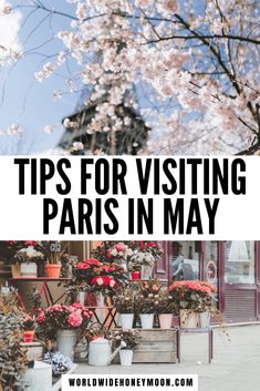 the words tips for visiting paris in may are overlaid with images of flowers and trees