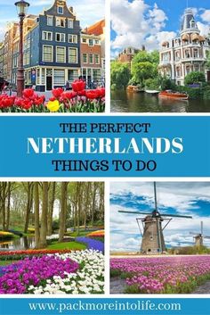 the perfect netherlands things to do in europe with pictures of flowers and windmills