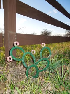 some green and pink rings hanging from a wooden fence