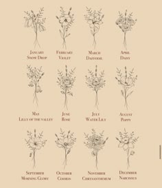 an image of flowers that are labeled in english and spanish language on a beige background