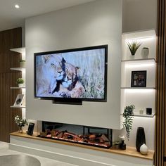 a flat screen tv mounted on the wall above a fireplace