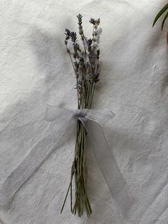 a bunch of lavender flowers tied to a white cloth