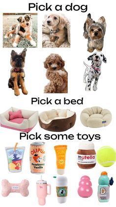 there are many different types of dog toys in this photo, including pups and beds