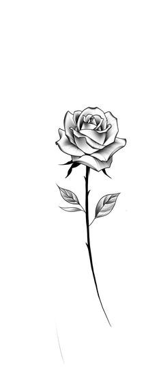 a black and white drawing of a rose