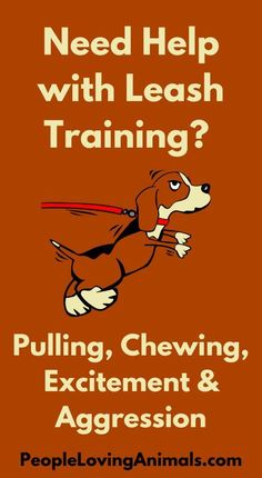 a poster with the words need help with leash training? pulling, chewing, excitement and aggression