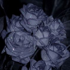 a bunch of roses that are sitting on some kind of table cloth with sparkles