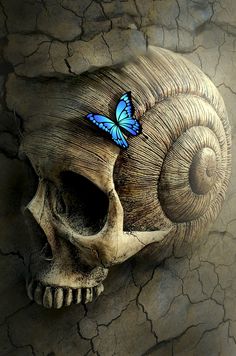 a skull with a blue butterfly sitting on it's head in front of a cracked wall