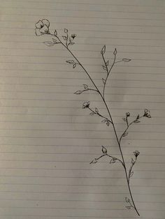 a drawing of a flower on lined paper