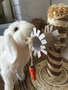 a small white rabbit standing next to a bunch of carrots and paper windmills