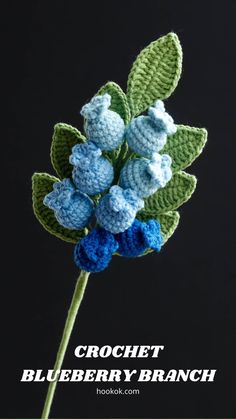 crochet blueberry branch is shown with the words, crochet blueberry branch