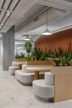 an office with plants in planters on the wall and concrete benches at the front