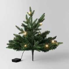 20" Pre-lit Led Battery Operated Mixed Pine Mini Christmas Artificial Pot Filler Warm White Lights - Wondershop™ : Target Noble Fir Christmas Tree, Pot Fillers, Fir Christmas Tree, Warm White Lights, Christmas Pots, Christmas Planters, Floor Display, White Light Bulbs, Pine Branches