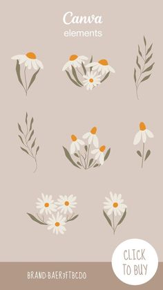 Daisy flowers Сhamomile art Spring flowers Wi Daisy Branding, Canva Posters Design, Canva Ideas Design, Daisy Flower Illustration, Daisies Illustration, Daisy Vector, Beautiful Daisy Flowers, Daisy Flower Art, Daisy Flower Drawing