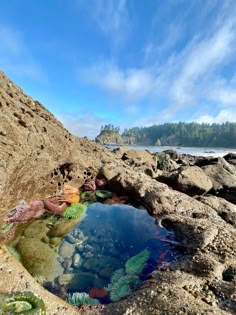 a small pool of water surrounded by rocks on the beach with trees in the background