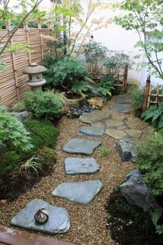 a garden with rocks and plants in it