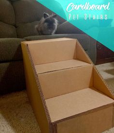 a cat sitting on top of a cardboard box next to a couch with the words cardboard pet stairs in front of it