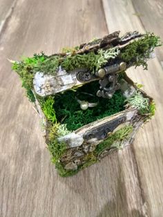 an old box with moss growing out of it