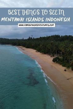 the best things to see in mentawai islands, indonesia