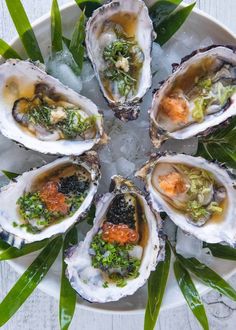 an overhead view of several oysters on ice with garnishes and herbs