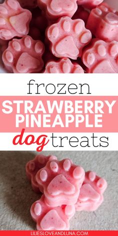 frozen strawberry pineapple dog treats with text overlay