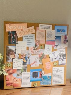 a bulletin board with pictures and magnets on it next to a potted plant