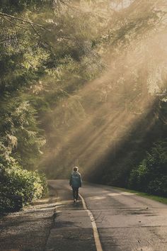 a person walking down the middle of a road with sunbeams coming through trees