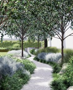 an artist's rendering of a pathway between trees and shrubs in a garden area