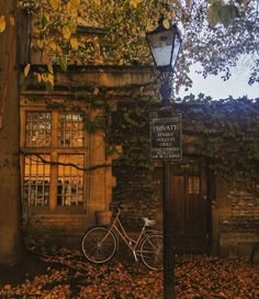 a bicycle parked next to a lamp post in front of a building with ivy growing on it