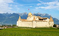 an old castle in the middle of a vineyard