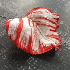 a red and white flower sitting on top of a black table next to a green leaf