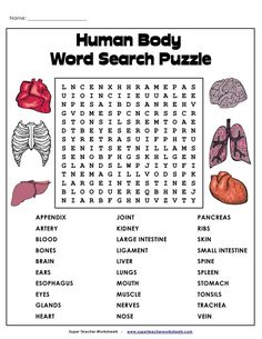 the human body word search puzzle is shown in black and white, with words on it