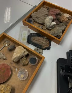 two wooden trays filled with rocks and other items