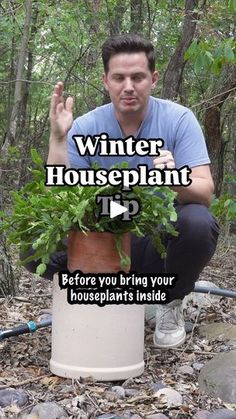 a man kneeling down next to a potted plant with the words winter houseplant tips before you bring your houseplants inside