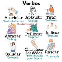 a poster with different types of verbs on it's back ground and in the middle