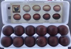 an egg carton filled with lots of brown eggs