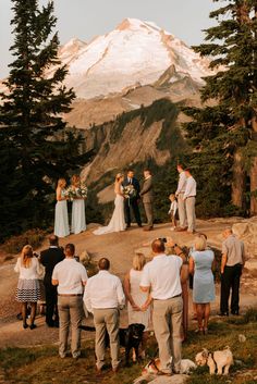 a group of people standing on top of a hill next to a forest filled with trees