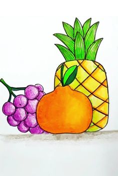 a drawing of a pineapple, grapefruit and orange