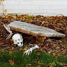 a fake human skull under a wooden bench