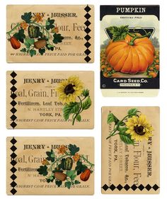 four pumpkin seed labels with sunflowers and leaves on them, all in different styles