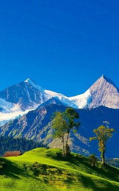 the mountains are covered in snow and green grass, with small trees on each side