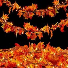 autumn leaves are lit up in the night sky with lights strung from them and on branches