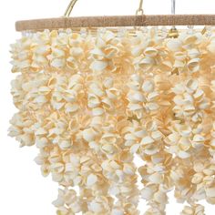 a chandelier made out of shells hanging from a rope