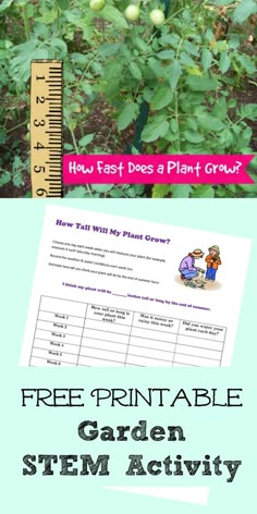 a garden plot with the text how fast does a plant grow? and an image of a