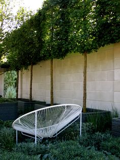 a white chair sitting in front of a wall with trees growing on it's sides