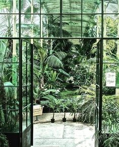 the inside of a greenhouse with lots of plants and trees in it's walls