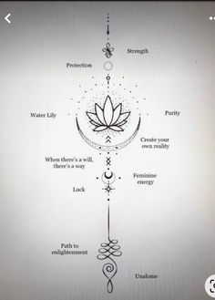 an image of a diagram with the words, water lily and other things on it