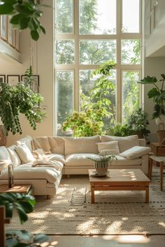 a living room filled with lots of furniture and plants on the windows sills